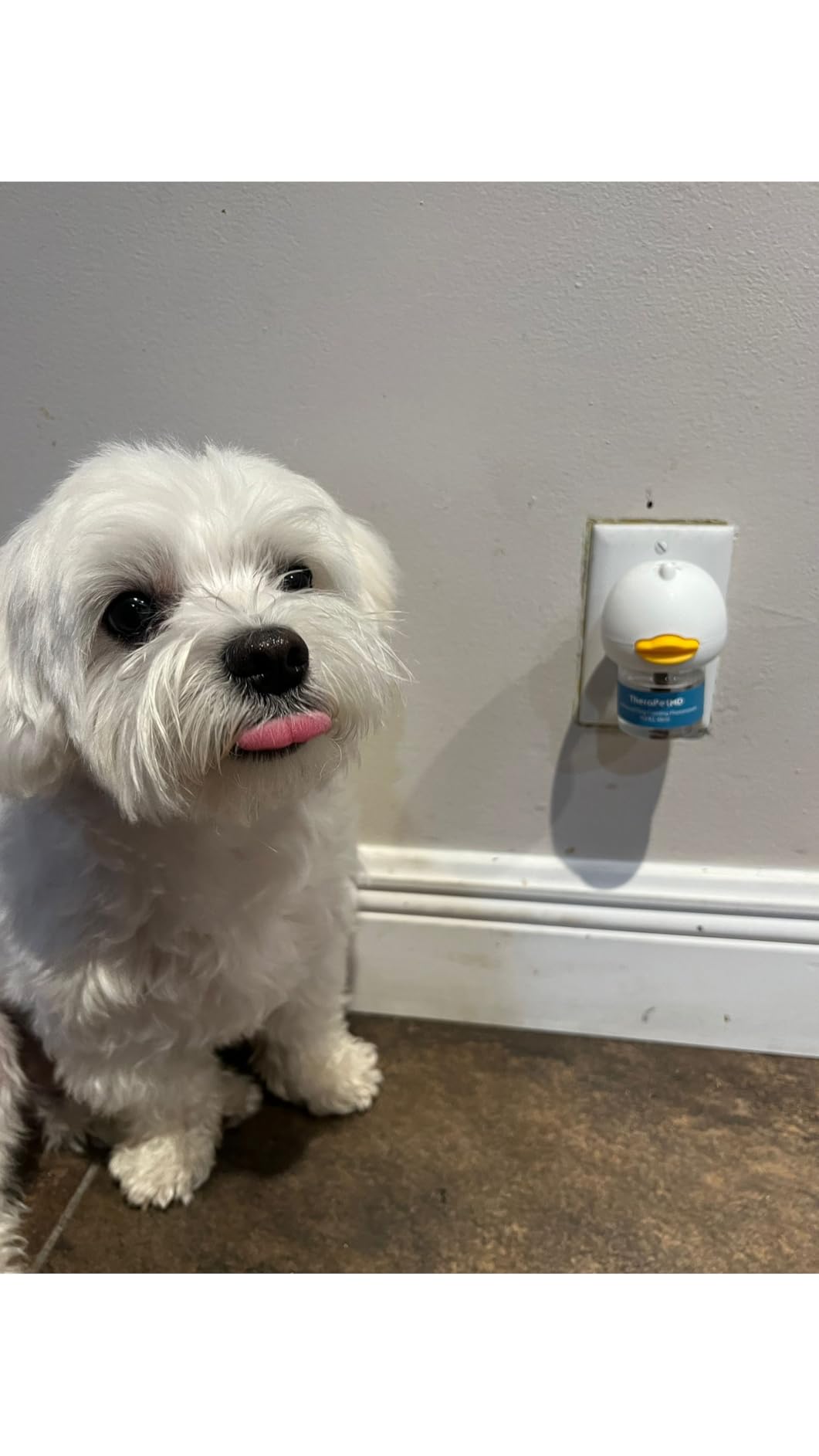 Difusor Antiestrés para Perros y Gatos (Solo en casa, Miedos, Ruidos fuertes, Adopción )