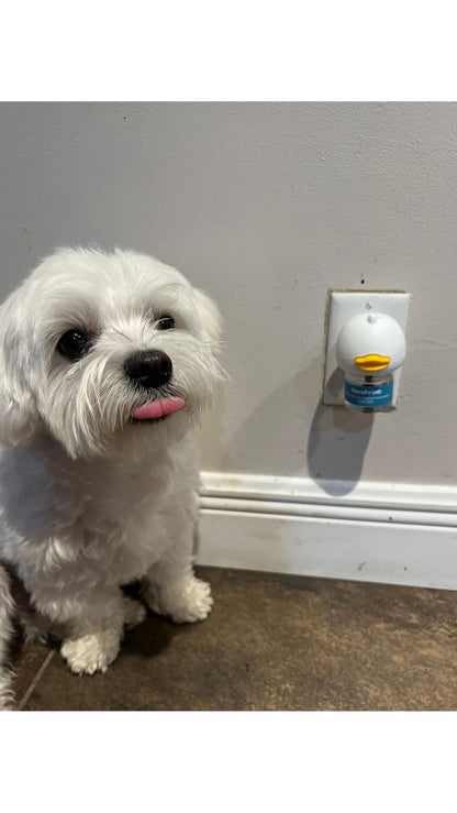 Difusor Antiestrés para Perros y Gatos (Solo en casa, Miedos, Ruidos fuertes, Adopción )