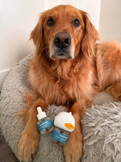 Difusor Antiestrés para Perros y Gatos (Solo en casa, Miedos, Ruidos fuertes, Adopción )