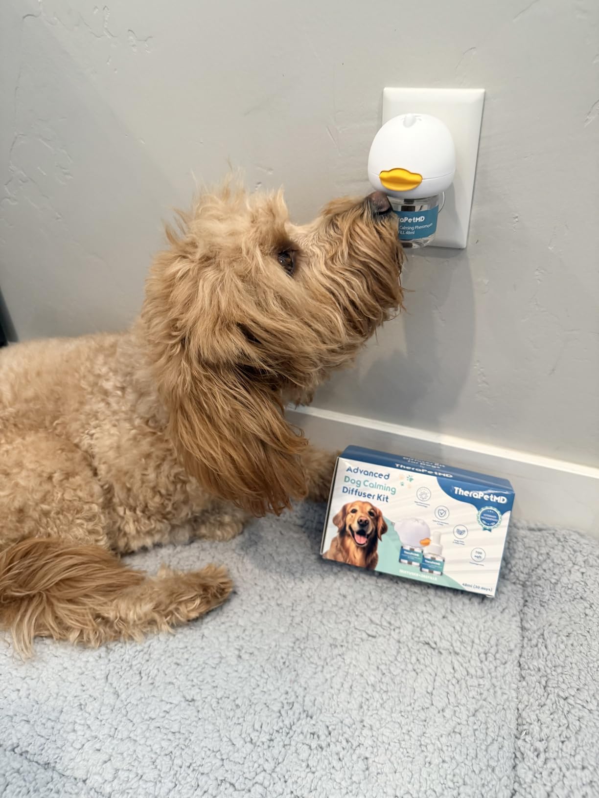 Difusor Antiestrés para Perros y Gatos (Solo en casa, Miedos, Ruidos fuertes, Adopción )